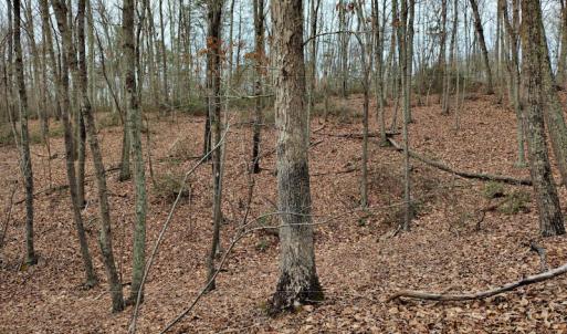 Photo #10 of SOLD property in Off Tery Court, Madison Heights, VA 5.8 acres