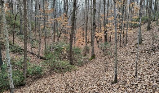Photo #11 of SOLD property in Off Tery Court, Madison Heights, VA 5.8 acres