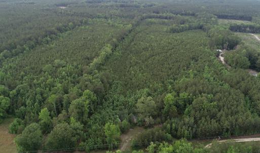 Photo #2 of SOLD property in Off Manning Drive, Valentines, VA 36.0 acres