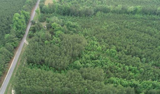 Photo #11 of SOLD property in Off Manning Drive, Valentines, VA 36.0 acres