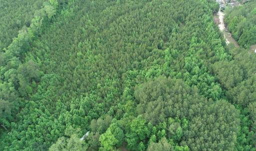 Photo #13 of SOLD property in Off Manning Drive, Valentines, VA 36.0 acres