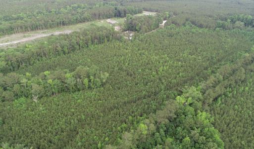 Photo #17 of SOLD property in Off Manning Drive, Valentines, VA 36.0 acres