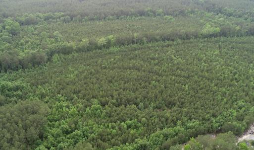 Photo #19 of SOLD property in Off Manning Drive, Valentines, VA 36.0 acres