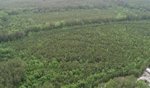 Photo #20 of SOLD property in Off Manning Drive, Valentines, VA 36.0 acres