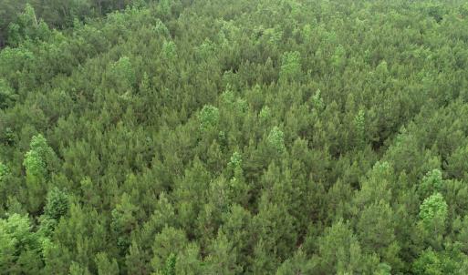 Photo #24 of SOLD property in Off Manning Drive, Valentines, VA 36.0 acres