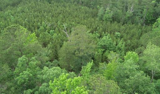 Photo #26 of SOLD property in Off Manning Drive, Valentines, VA 36.0 acres