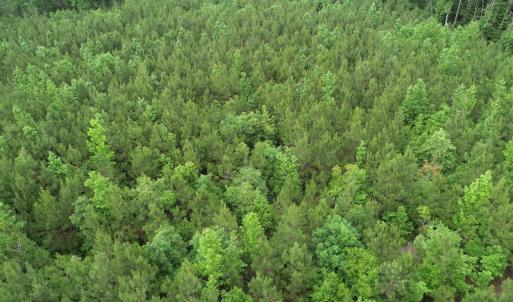 Photo #32 of SOLD property in Off Manning Drive, Valentines, VA 36.0 acres
