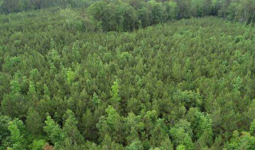 Photo #33 of SOLD property in Off Manning Drive, Valentines, VA 36.0 acres