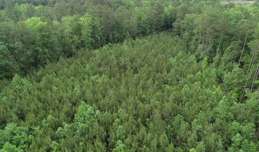 Photo #34 of SOLD property in Off Manning Drive, Valentines, VA 36.0 acres