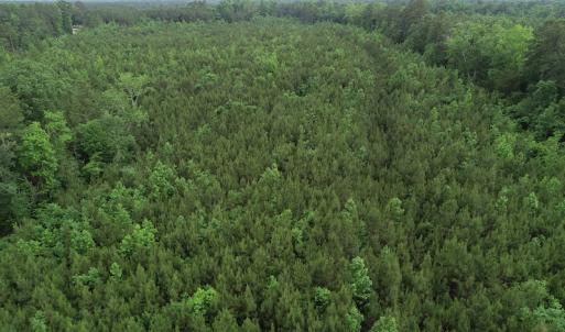 Photo #38 of SOLD property in Off Manning Drive, Valentines, VA 36.0 acres