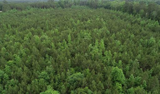 Photo #39 of SOLD property in Off Manning Drive, Valentines, VA 36.0 acres