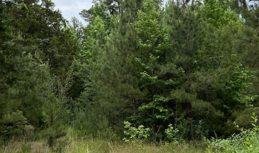 Photo #5 of SOLD property in Off Manning Drive, Valentines, VA 36.0 acres