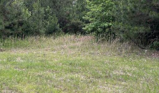 Photo #7 of SOLD property in Off Manning Drive, Valentines, VA 36.0 acres