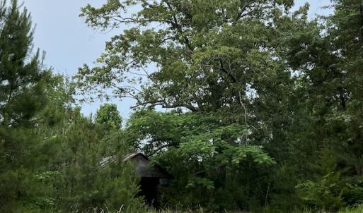 Photo #8 of SOLD property in Off Manning Drive, Valentines, VA 36.0 acres