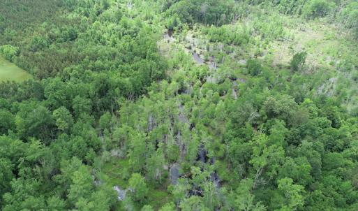 Photo #11 of 32378 Jenkins Mill Road, Franklin, VA 10.4 acres