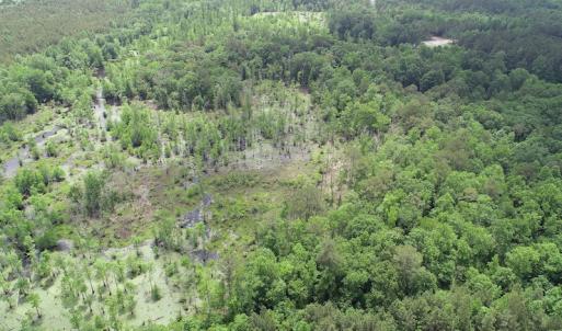Photo #14 of 32378 Jenkins Mill Road, Franklin, VA 10.4 acres