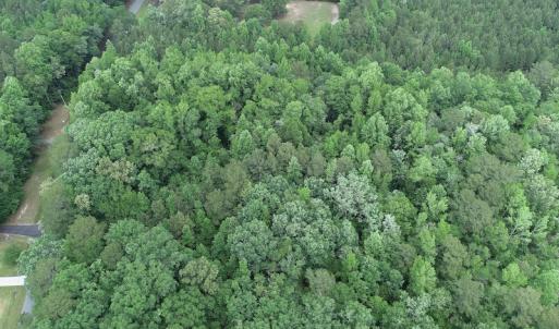 Photo #15 of 32378 Jenkins Mill Road, Franklin, VA 10.4 acres