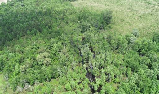 Photo #16 of 32378 Jenkins Mill Road, Franklin, VA 10.4 acres