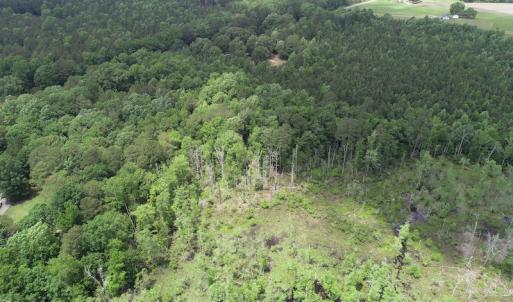 Photo #17 of 32378 Jenkins Mill Road, Franklin, VA 10.4 acres