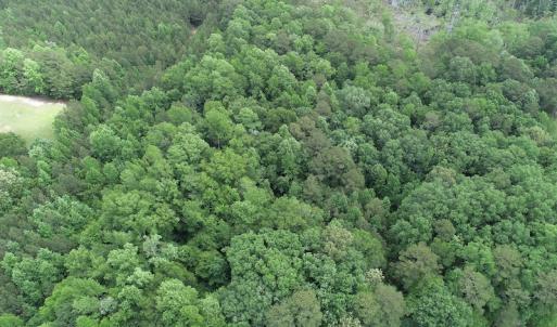 Photo #3 of 32378 Jenkins Mill Road, Franklin, VA 10.4 acres