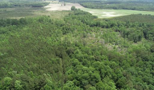 Photo #4 of 32378 Jenkins Mill Road, Franklin, VA 10.4 acres