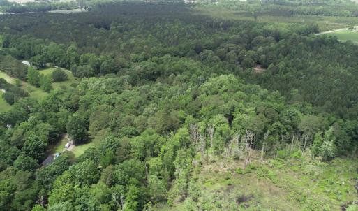 Photo #5 of 32378 Jenkins Mill Road, Franklin, VA 10.4 acres