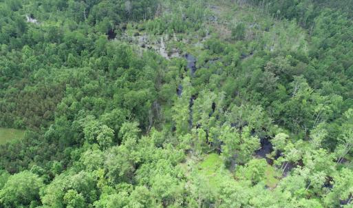 Photo #6 of 32378 Jenkins Mill Road, Franklin, VA 10.4 acres