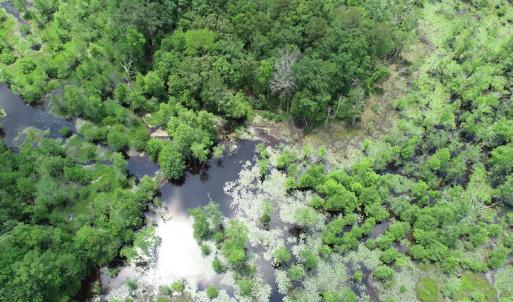 Photo #8 of 32378 Jenkins Mill Road, Franklin, VA 10.4 acres