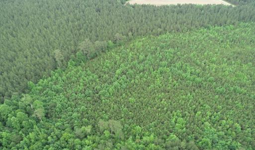 Photo #7 of SOLD property in Off Mason Grove Lane, Valentines, VA 14.3 acres