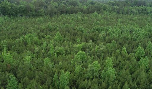 Photo #14 of SOLD property in Off Mason Grove Lane, Valentines, VA 14.3 acres