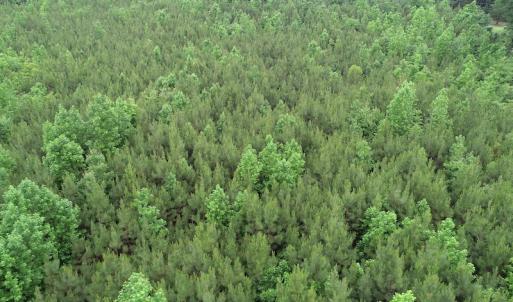 Photo #15 of SOLD property in Off Mason Grove Lane, Valentines, VA 14.3 acres