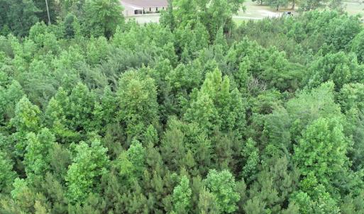 Photo #16 of SOLD property in Off Mason Grove Lane, Valentines, VA 14.3 acres