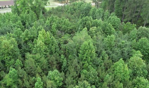 Photo #17 of SOLD property in Off Mason Grove Lane, Valentines, VA 14.3 acres