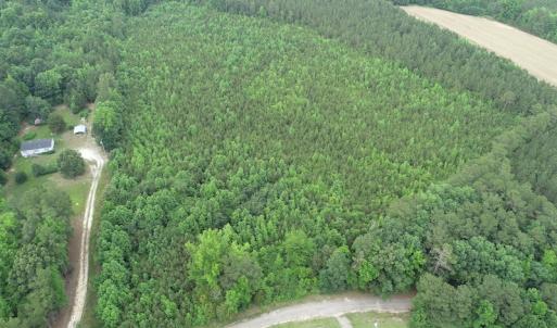 Photo #3 of SOLD property in Off Mason Grove Lane, Valentines, VA 14.3 acres