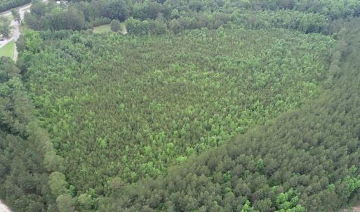 Photo #4 of SOLD property in Off Mason Grove Lane, Valentines, VA 14.3 acres
