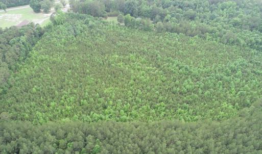 Photo #5 of SOLD property in Off Mason Grove Lane, Valentines, VA 14.3 acres