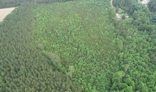 Photo #6 of SOLD property in Off Mason Grove Lane, Valentines, VA 14.3 acres