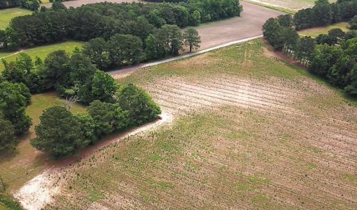 Photo #2 of SOLD property in Lot 1 Corinth Chapel Rd, Suffolk, VA 3.0 acres