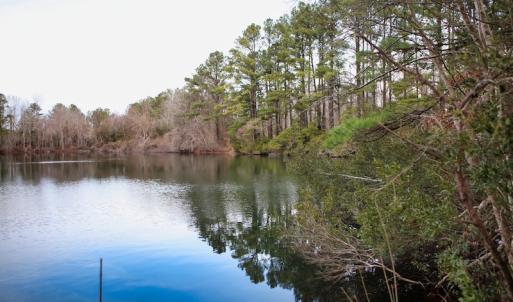 Photo #21 of SOLD property in Off Bourbon Street, Camden, NC 11.6 acres