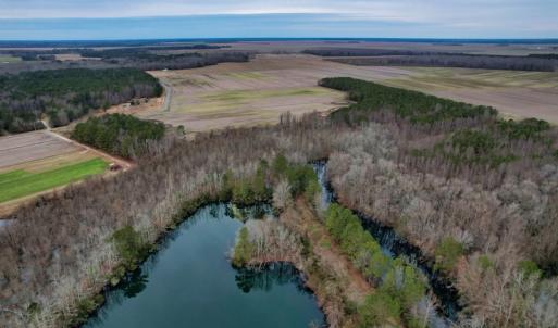 Photo #8 of SOLD property in Off Bourbon Street, Camden, NC 11.6 acres