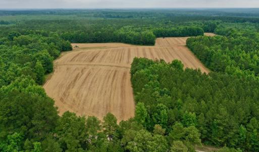 Photo #2 of SOLD property in Off Old Macon Highway, Macon, NC 104.0 acres