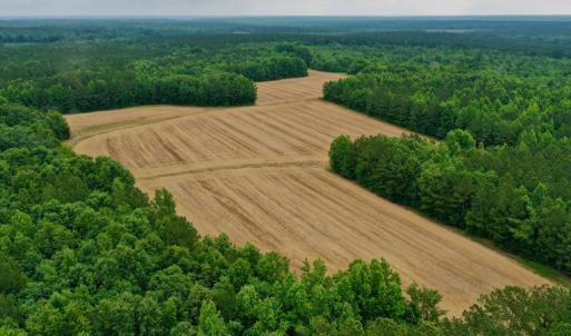 Photo #3 of SOLD property in Off Old Macon Highway, Macon, NC 104.0 acres