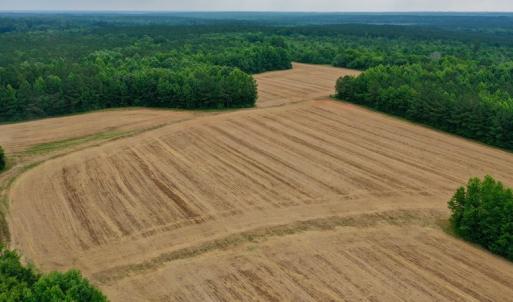 Photo #4 of SOLD property in Off Old Macon Highway, Macon, NC 104.0 acres