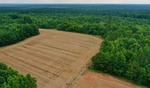 Photo #5 of SOLD property in Off Old Macon Highway, Macon, NC 104.0 acres