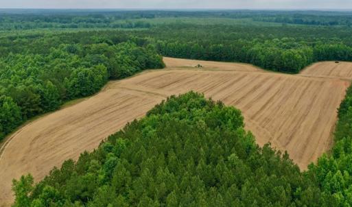 Photo #6 of SOLD property in Off Old Macon Highway, Macon, NC 104.0 acres