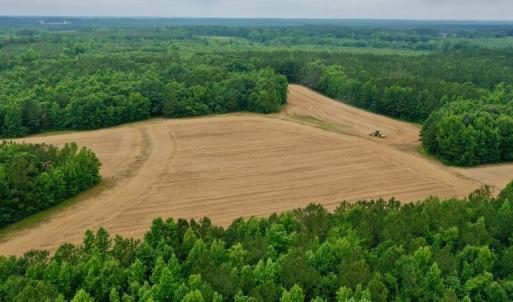 Photo #7 of SOLD property in Off Old Macon Highway, Macon, NC 104.0 acres