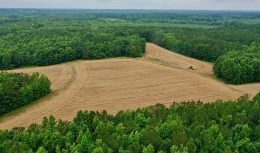 Photo #7 of SOLD property in Off Old Macon Highway, Macon, NC 104.0 acres