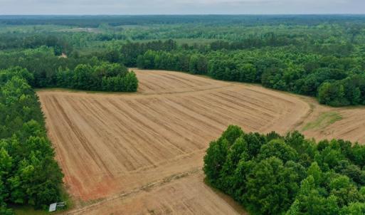 Photo #8 of SOLD property in Off Old Macon Highway, Macon, NC 104.0 acres