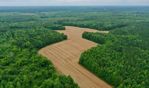 Photo #9 of SOLD property in Off Old Macon Highway, Macon, NC 104.0 acres