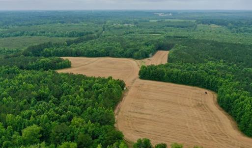 Photo #10 of SOLD property in Off Old Macon Highway, Macon, NC 104.0 acres